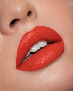 Фото проститутки Elvira №1 в городе Москва